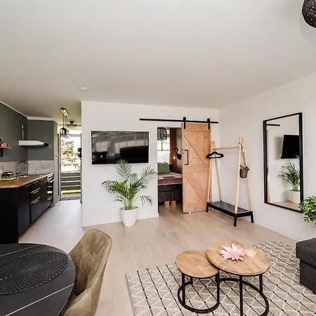 Amsterdam 52 Апартаменты Зандфорт